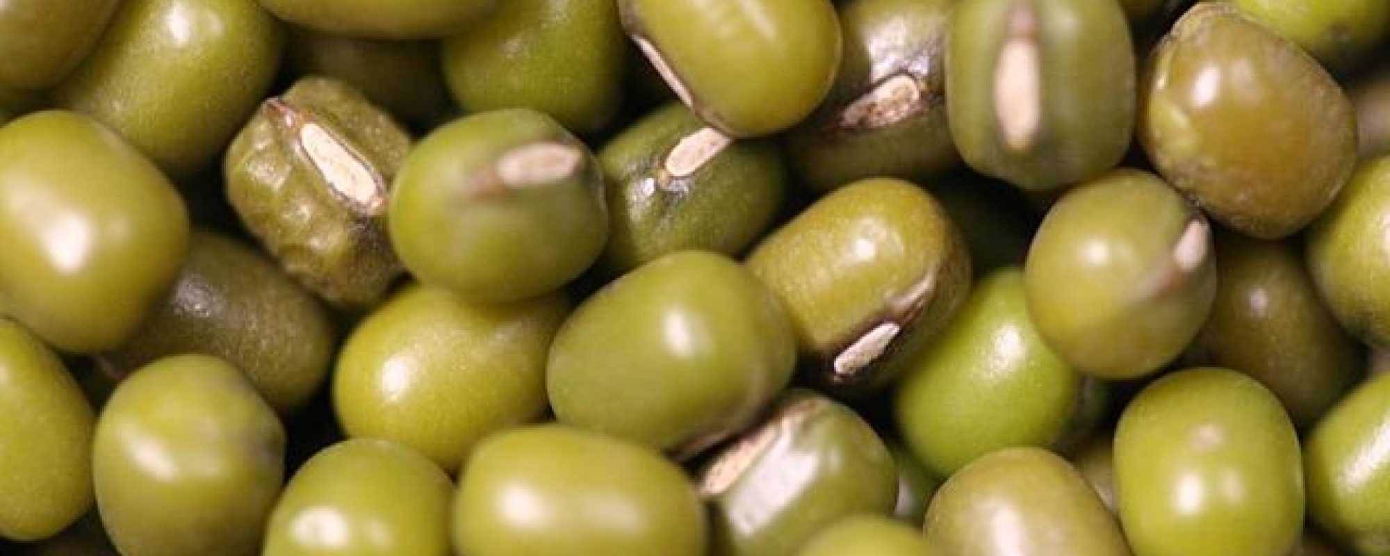 MUNG BEANS
