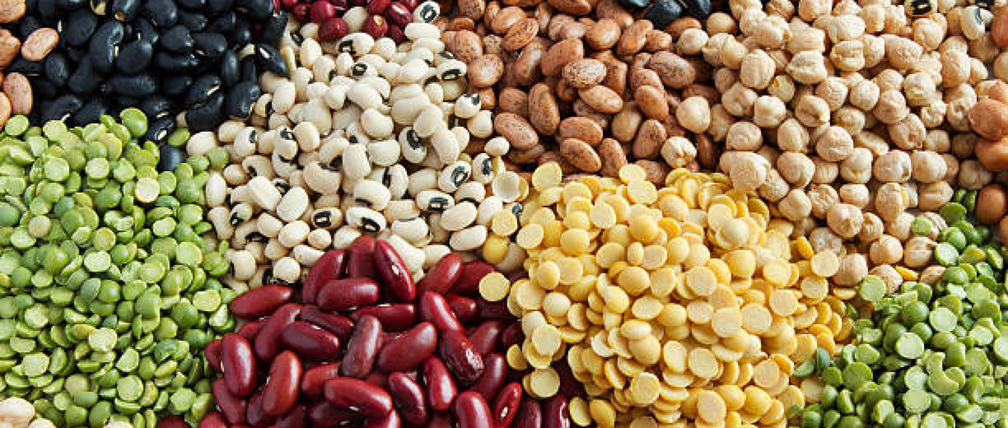 Various Legumes, colorful beans top view